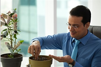 work Image